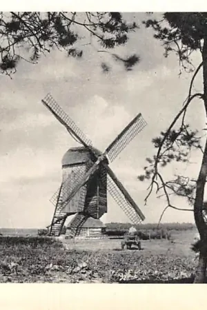 Ede Doesburger Molen Veluwe HC57033 Najlepsza cena