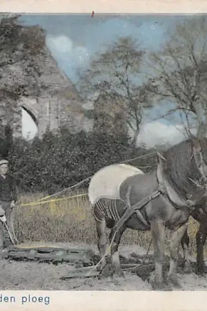 Tylko dziś Walcheren Boer achter den ploeg met paarden Ruïne Klederdracht Vintage HC56993