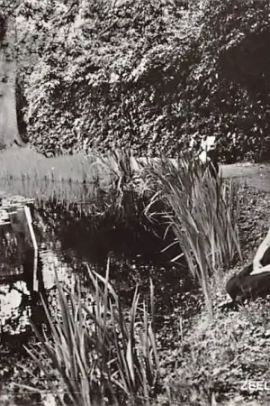 Tylko dziś Zeeland Bij de Goudviskom Walcheren Vrouwen in klederdracht Vintage HC56991