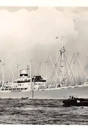 Scheepvaart m.s. Graveland Koninklijke Hollandsche Lloyd Amsterdam Schepen HC56876 Bezpieczna płatność