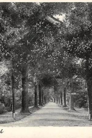 Zwrot pieniędzy Oostvoorne aan Zee Weg in het Overbosch 1937 HC56920