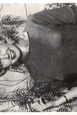 Szybka dostawa Film Filmster Doris Day Warner Bros Star USA Noord-Amerika HC56918