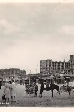 Scheveningen Strand gezicht 1950 's-Gravenhage HC56860 Darmowa dostawa