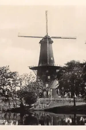 Leiden Rijnsburgersingel met molen HC56843 Autentyczny