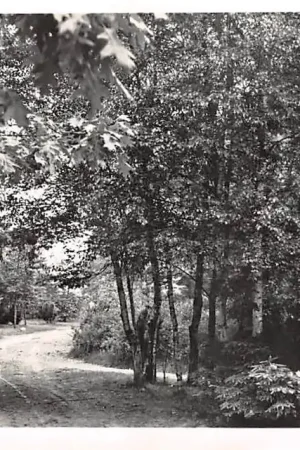 Najlepsza cena Ommen Bospad bij U paviljoen Stichting Vacantievreugd 1952 HC56828