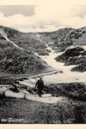 Popularny Egmond aan Zee In de Duinen 1939 HC56818