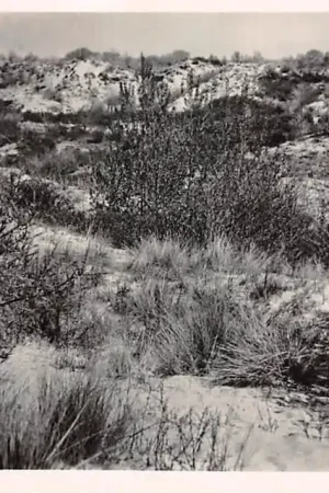 Rockanje aan Zee Duingezicht HC56780 Rabat