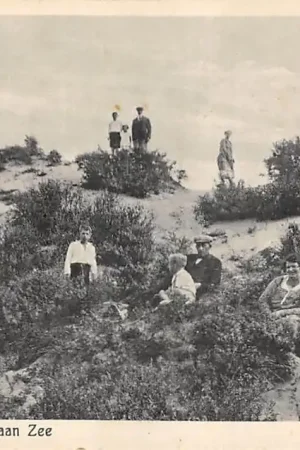 Rockanje aan Zee In de duinen 1936 HC56776 Autentyczny