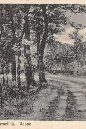 Vasse Boschweg bij Café Wermelink Tubbergen HC56730 Ostatnia szansa