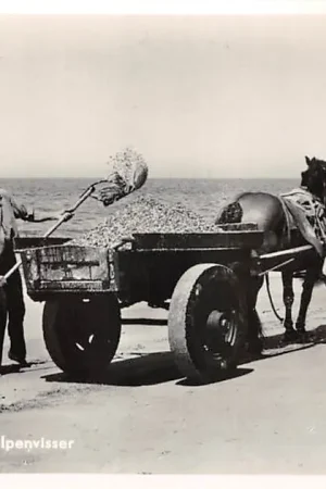 Bezpieczna płatność Katwijk aan Zee Schelpenvisser met paard en wagen op het strand 1952 HC56693