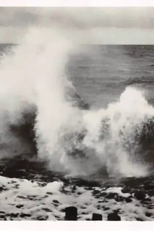 Texel Zee Zware Branding Groeten van Texel HC56685 Ostatnia szansa