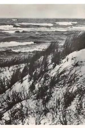 Rockanje aan Zee Onze Duinen 1950 HC56682 Oferta limitowana