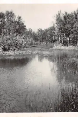 Rockanje aan Zee Quakjeswater 1949 HC56681 Oferta