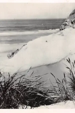 Promocja Texel Duingezicht Zee 1953 HC56410