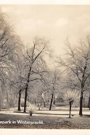 Zwrot pieniędzy Sneek Wilhelminapark in Winter pracht HC56466