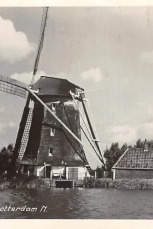 Rotterdam Molen aan de Rotte HC56325 Najlepsza cena