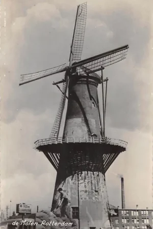 Rotterdam de Molen HC56314 Tani
