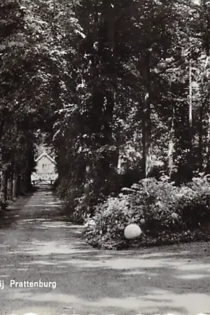 Veenendaal Boerderij Prattenburg 1963 HC56395 Ostatnia szansa