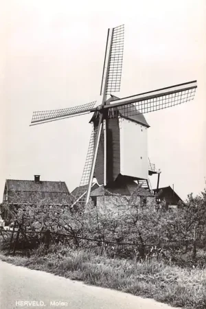 Herveld Molen Overbetuwe 1971 HC56157 Kup teraz