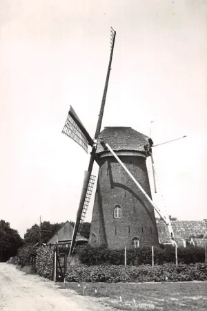 Popularny Elst (UT) Molen 1973 HC56155