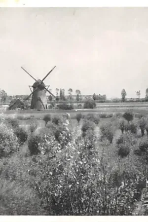 Kup teraz Lienden Watermolen Buren (GD) Betuwe Molen HC56151