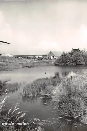 Ameland Nes Gezicht op de molen 1967 HC56147 Oferta limitowana