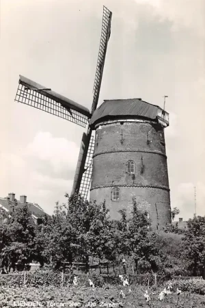 Lienden Korenmolen De Zwaan 1968 Molen Buren (GD) Betuwe HC56136 Zamów teraz