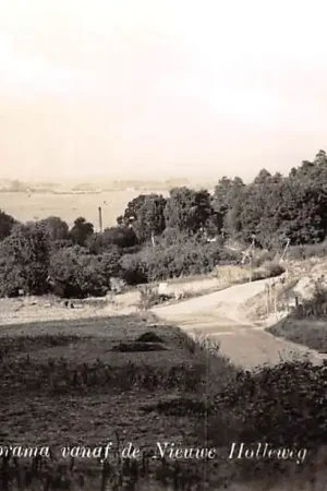 Berg en Dal Panorama vanaf de Nieuwe Holleweg 1956 Nijmegen HC56125 Oryginalny