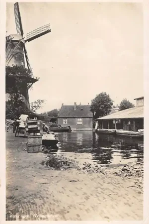 Tani Wateringen Veiling haven Molen Westland Rond 1935 HC55913