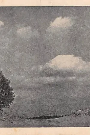 Promocja Groeten uit Maarn HC55657