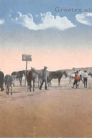 Wijk aan Zee Pony en Paard rijden Strand vermaak 1921HC55447 Promocja