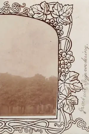 Rijpwetering Fotokaart R.K. Onze Lieve Vrouwe Geboorte Kerk met vlag in top 1902 Kaag en Braassem Alkemade De Kaag HC55272 Niska cena