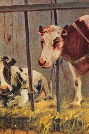 Popularny Fantasie Kalveren in de stal Achterkant: Rotterdam Reclame Vee- Pluimvee- en Vogel voeder fabriek A.J. ten Hope's Handel Mij Illustrator G. Mesmer Vintage HC55027