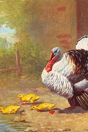 Najlepsza cena Fantasie Kalkoenen en kuikens en Kip Achterkant: Rotterdam Reclame Vee- Pluimvee- en Vogel voeder fabriek A.J. ten Hope's Handel Mij Illustrator G. Mesmer Vintage HC55024