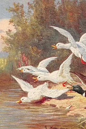 Oryginalny Fantasie Hond en eens verjagen ganzen Achterkant: Rotterdam Reclame Vee- Pluimvee- en Vogel voeder fabriek A.J. ten Hope's Handel Mij Illustrator G. Mesmer Vintage HC55023