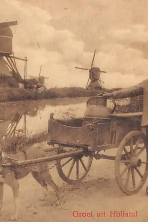 Wyprzedaż Haastrecht Vlist met molens en melkbus op hondenkar HC54793