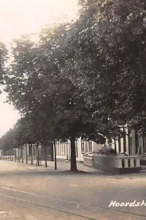 Haamstede Noordstraat Fotokaart 1945 Burgh Schouwen-Duiveland HC54593 Rabat