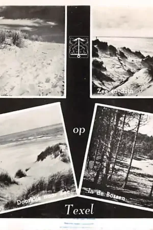 Autentyczny Texel Leven de vacantie In de duinen Zee en duin Doorkijk naar Zee In de bossen 1952 HC54586