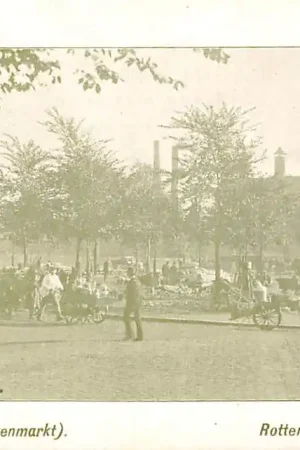 Najlepsza cena Rotterdam Noordplein Groentenmarkt 1900 Markt HC54422