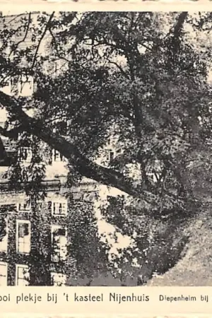 Rabat Diepenheim bij Goor Mooi plekje bij 't Kasteel Nijnehuis 1953 HC54260