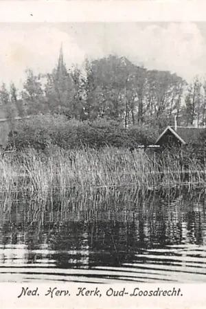 Tani Oud-Loosdrecht Ned. Hervormde Kerk Loosdrecht HC54176