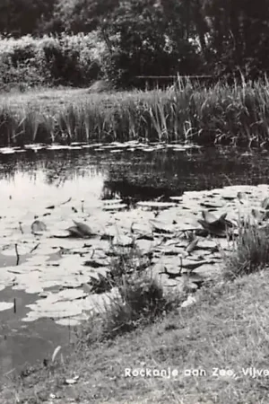 Rockanje aan Zee Vijver in het Ronde Wei Bos 1963 HC54151 Bezpieczna płatność