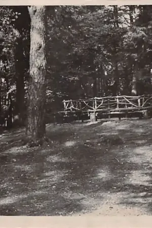 Dieren Carolinaberg Bankje 1948 HC54309 Tani