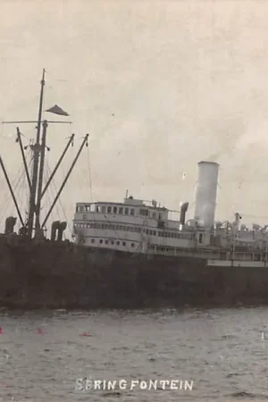 Promocja S.S. Springfontein Holland-Afrika Line Fotokaart Schepen ScheepvaartHC53964