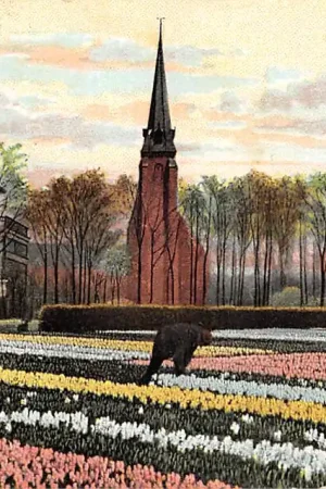 Sassenheim Hyacinthvelden met kerk 1907 Bloembollenvelden HC53907 Zwrot pieniędzy