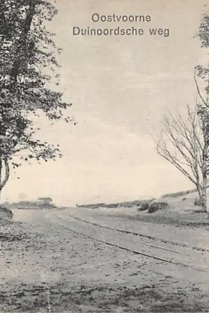 Wyprzedaż Oostvoorne aan Zee Duinoordsche weg 1911 HC53943