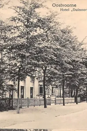 Ekspresowa dostawa Oostvoorne aan Zee Hotel Duinoord HC53942