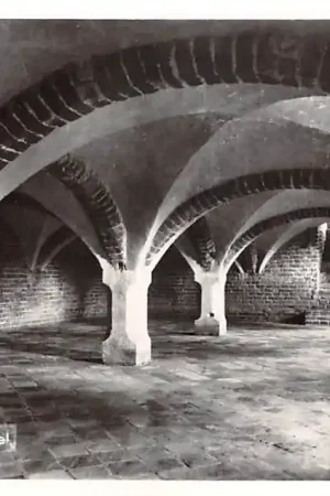 Ter Apel Klooster kelder 1972 HC53703 Ostatnia szansa