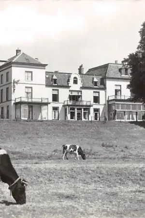 De Steeg Hotel De Engel Koeien in de uiterwaard 1960 Rheden Veluwe HC53683 Wyprzedaż