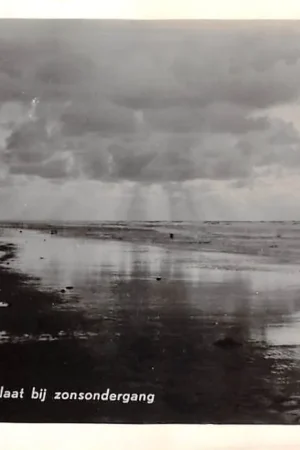 Terschelling De Bosplaat bij zonsondergang Strand en zee HC53674 Ostatnia szansa